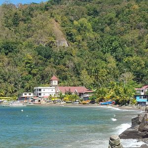 Meet your Posher, Misty